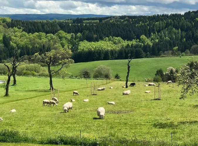 Westwind 公寓 Schuller