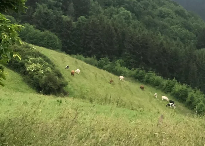 公寓 Westwind Schuller