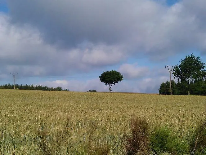 公寓 Westwind Schuller